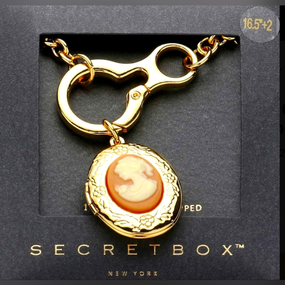 Secret Box 14K Gold Dipped Cameo Locket Pendant Necklace